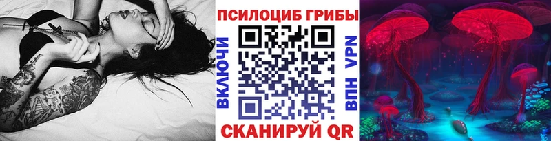 Купить  Губкин  Псилоцибиновые грибы Psilocybine cubensis 