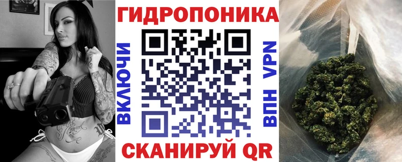 Купить  Губкин  Бошки марихуана конопля 